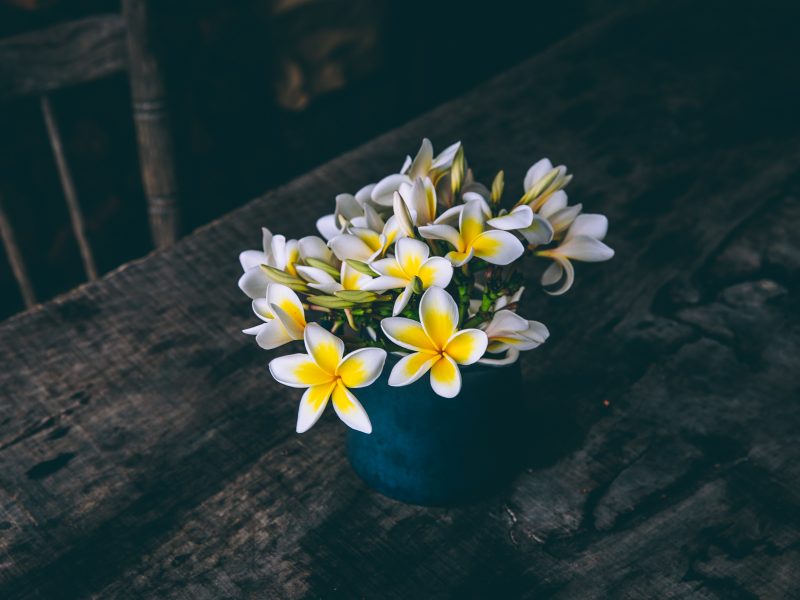 fleurs parfumées