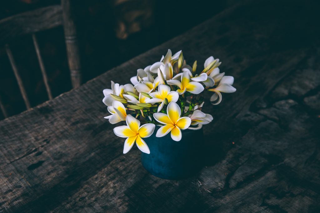 fleurs parfumées