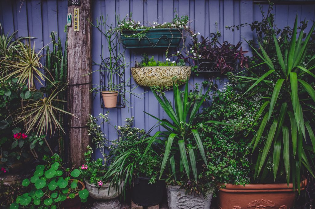 Comment réussir son jardin en ville ?